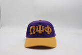 Omega Snapback Hat