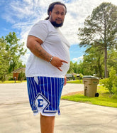 Sigma Pinstripe Heavy Mesh Basketball Shorts