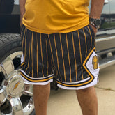 Alpha Pinstripe Heavy Mesh Basketball Shorts