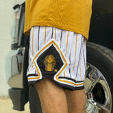 Alpha Pinstripe Heavy Mesh Basketball Shorts
