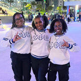 ZPB White Striped Chenille Crewneck (Unisex Size)