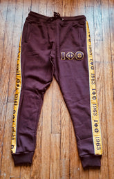 Iota Brown Tapered Sweatsuit Joggers