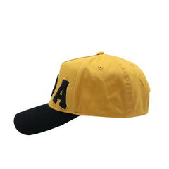 Alpha Snapback Hat