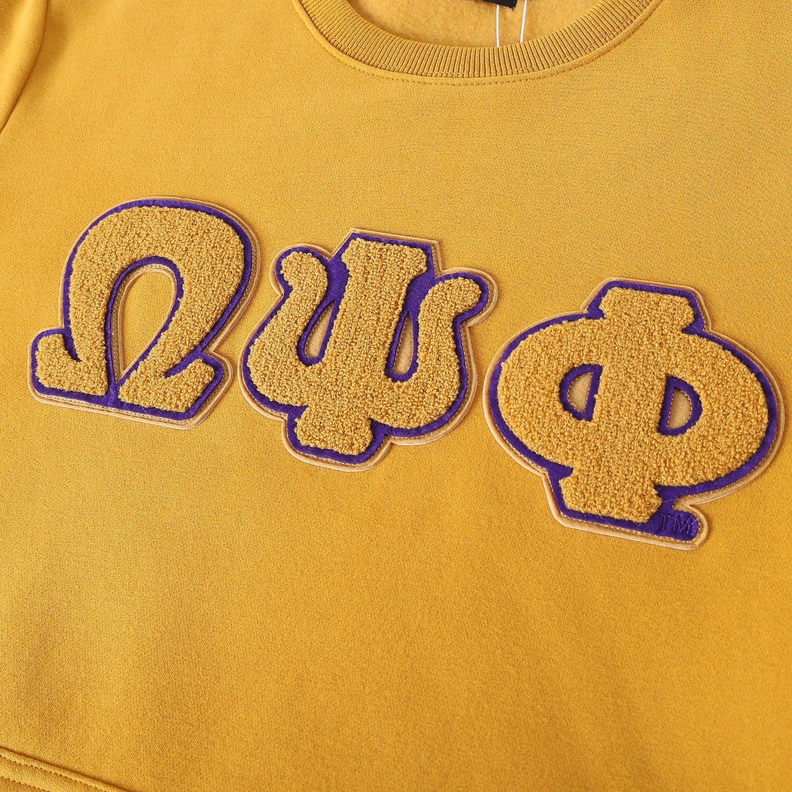 Omega Gold Letter Chenille Crewneck