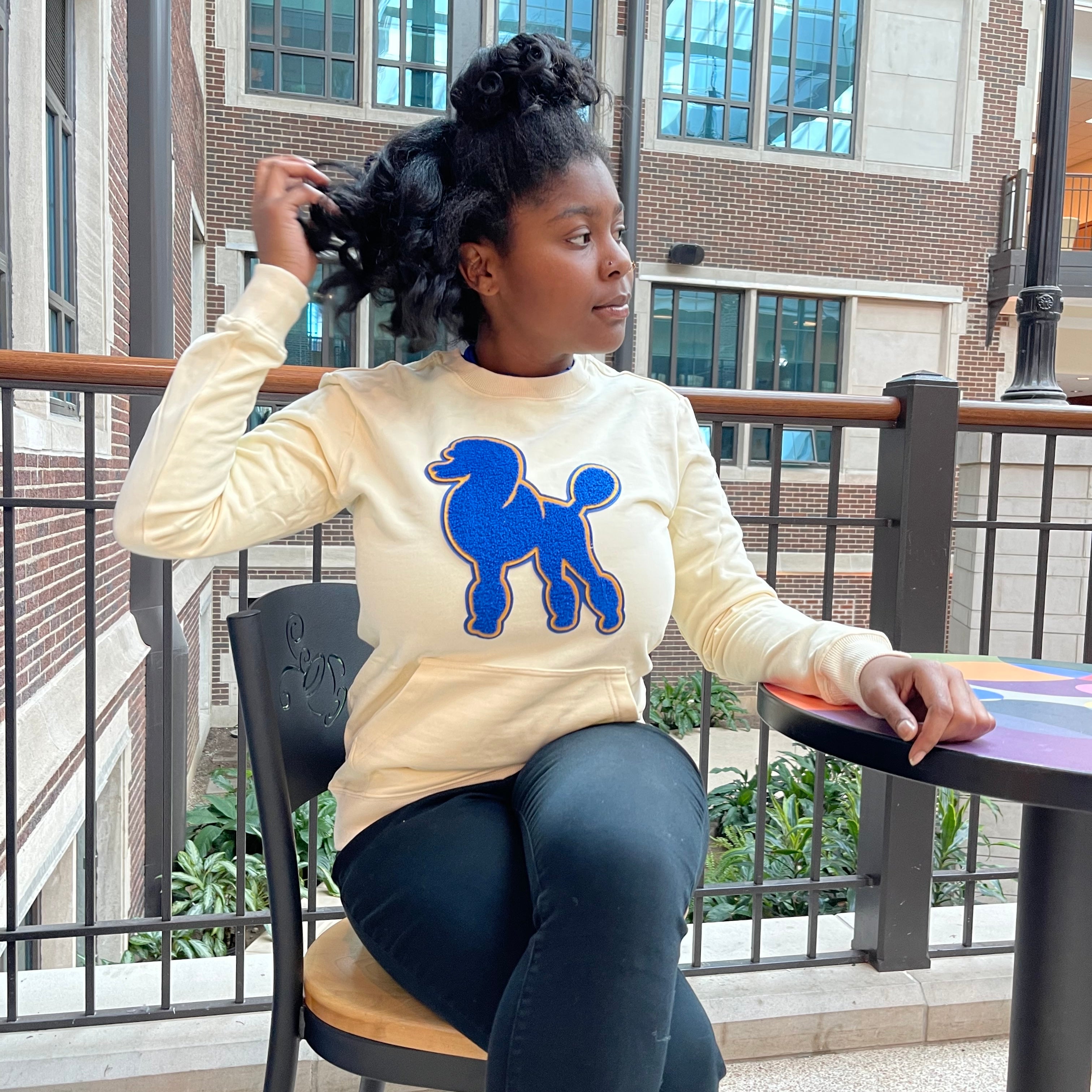 Poodle Nuetral Chenille Pocket Crewneck