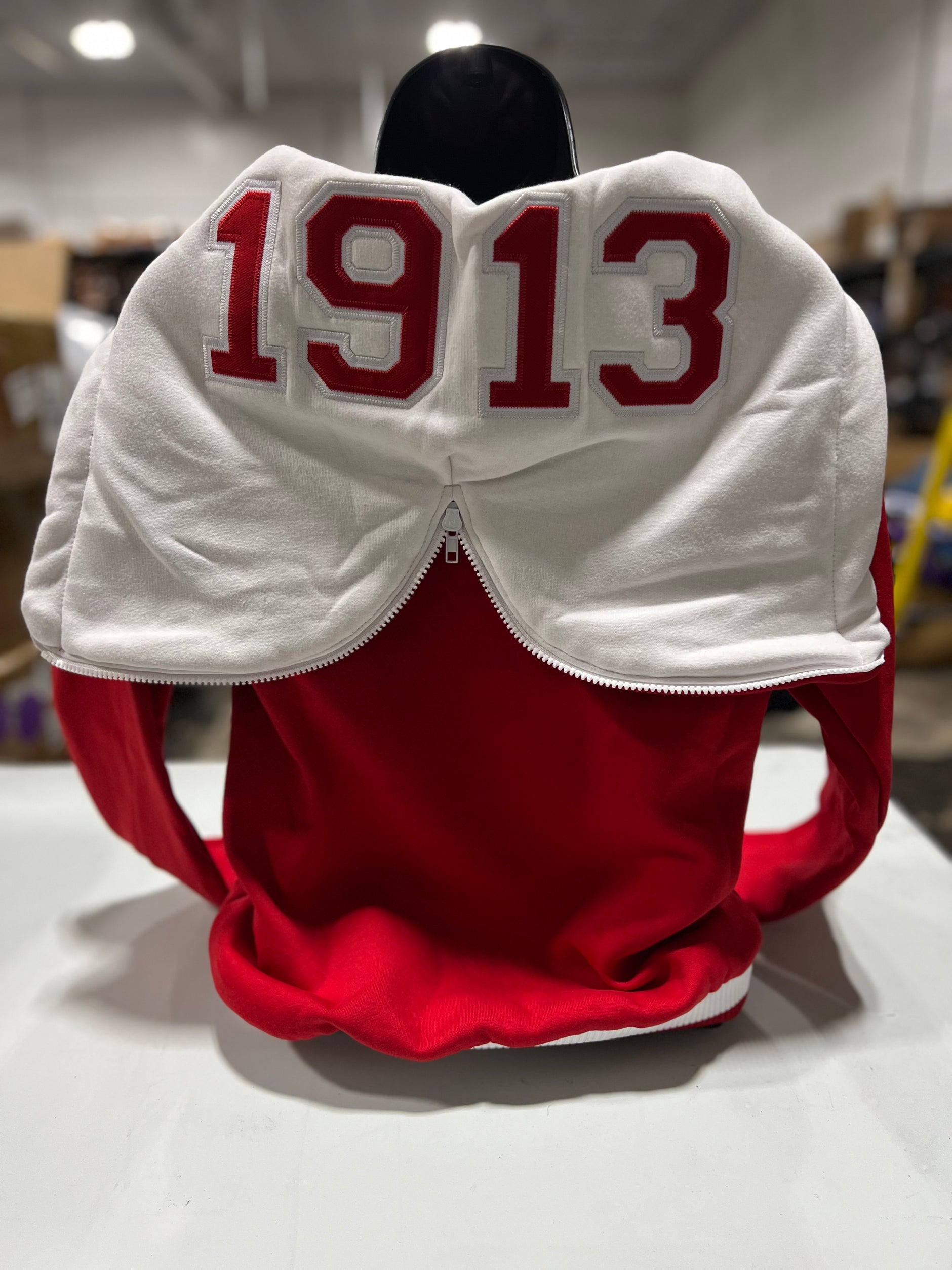 Delta Sigma Theta – The King McNeal Collection