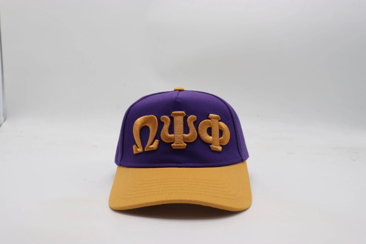 Omega Snapback Hat