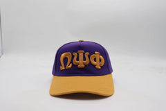 Omega Snapback Hat