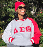 Delta Grey Opp Sleeve Crest Chenille Crewneck