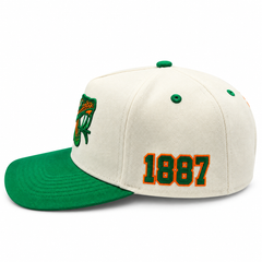 Famu Neutral Snapback