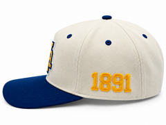 North Carolina A&T Neutral Snapback