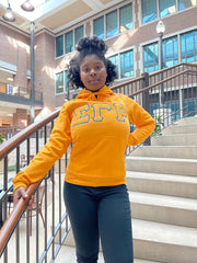 SGRho Gold Premium Hoodie