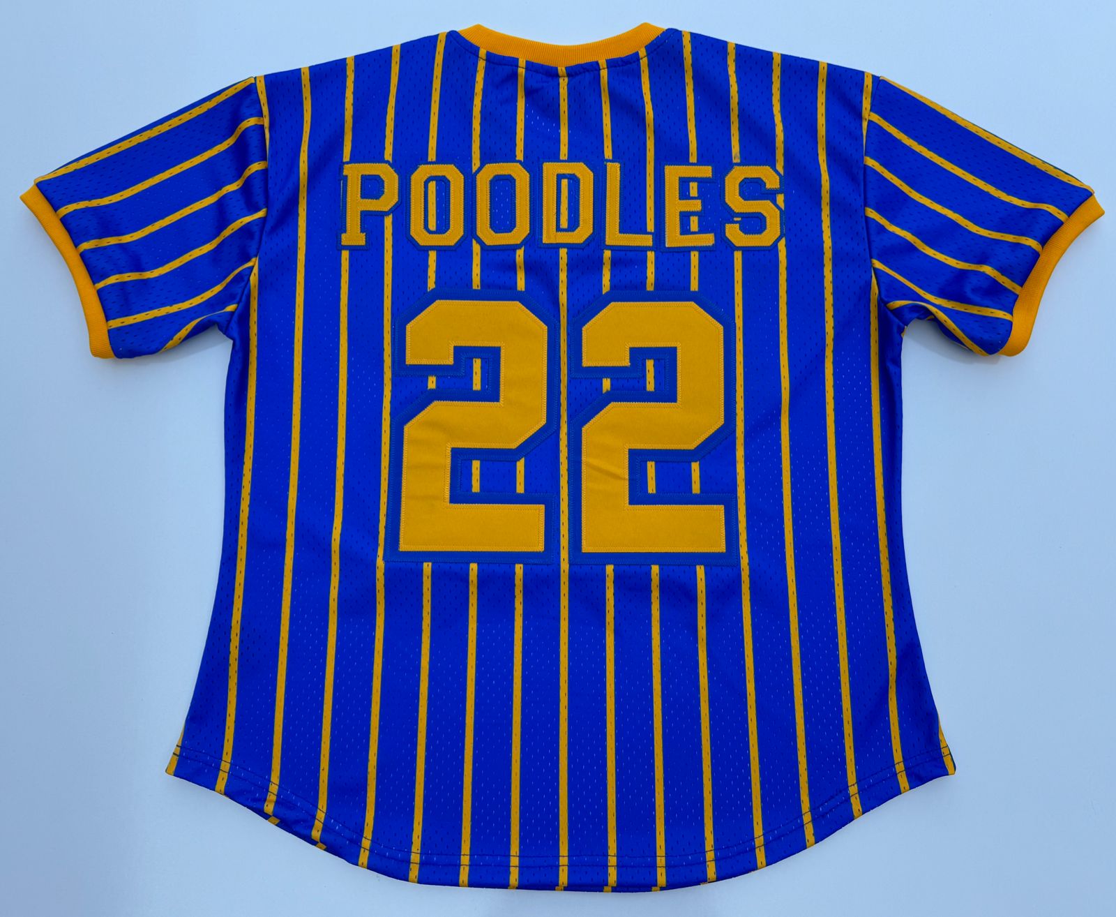 Sigma Gamma Rho Pinstripe Baseball Jersey