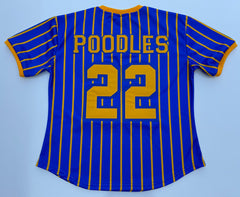 Sigma Gamma Rho Pinstripe Baseball Jersey