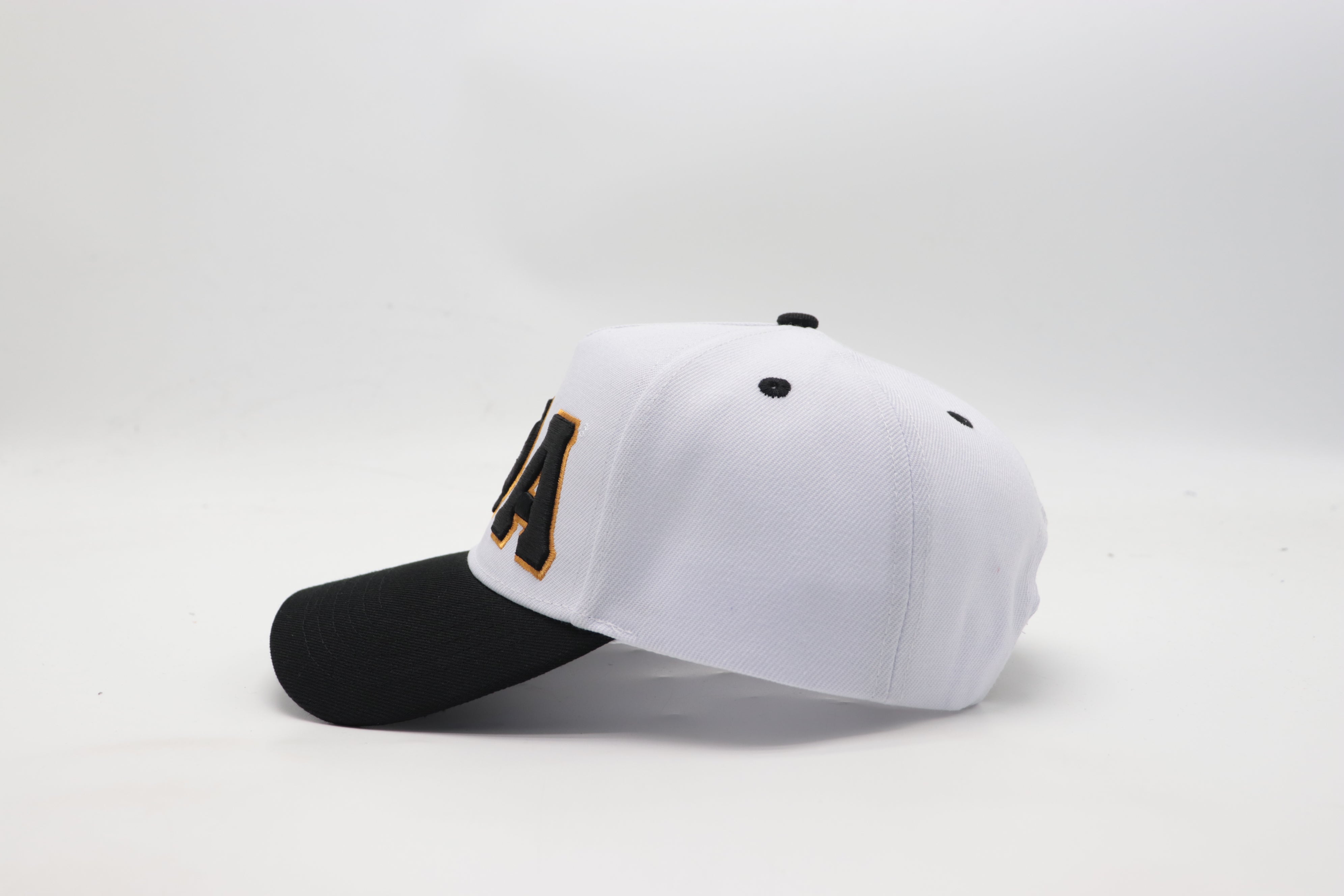 Alpha White/Black Snapback Hat