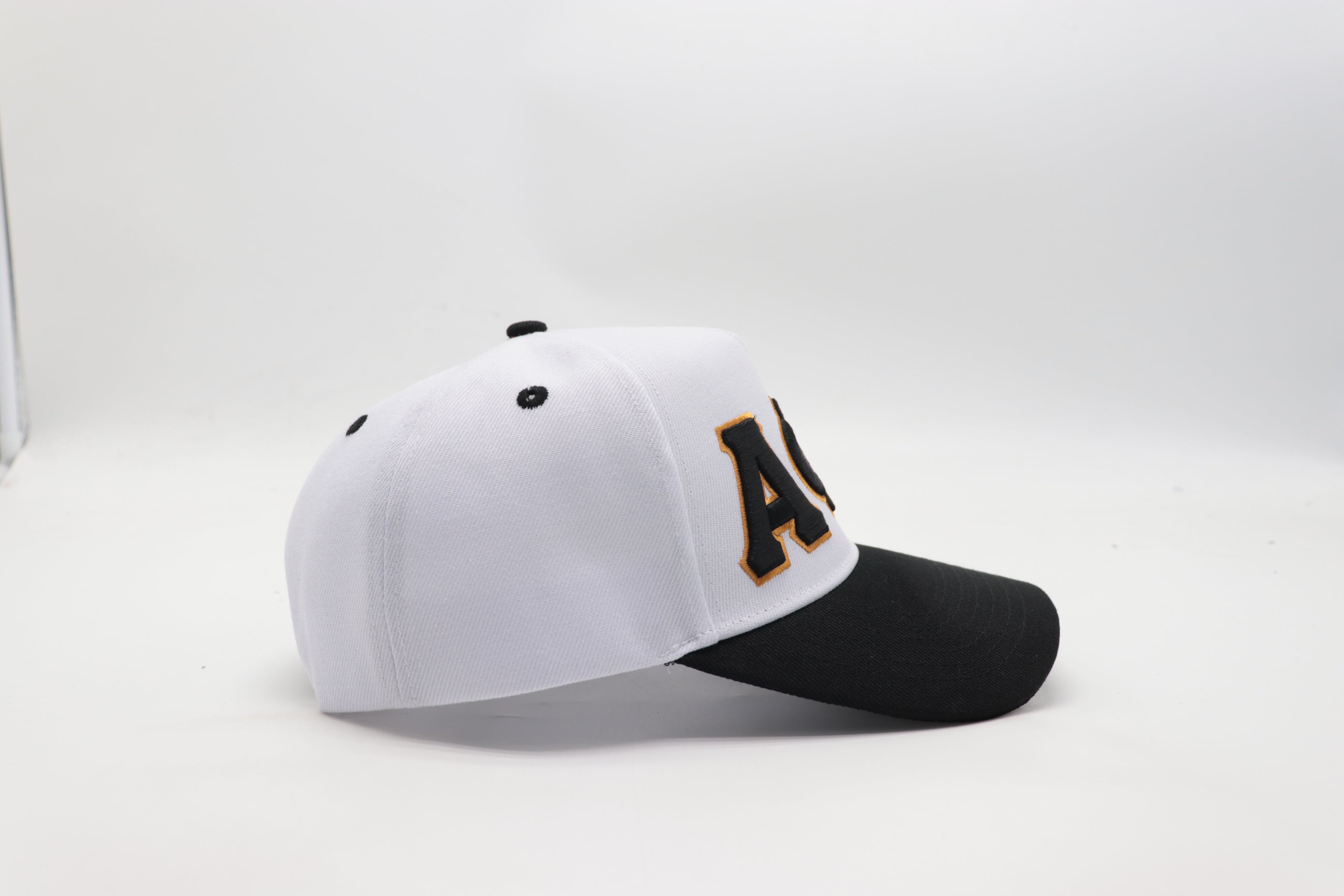 Alpha White/Black Snapback Hat