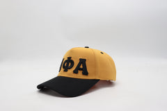 Alpha Snapback Hat