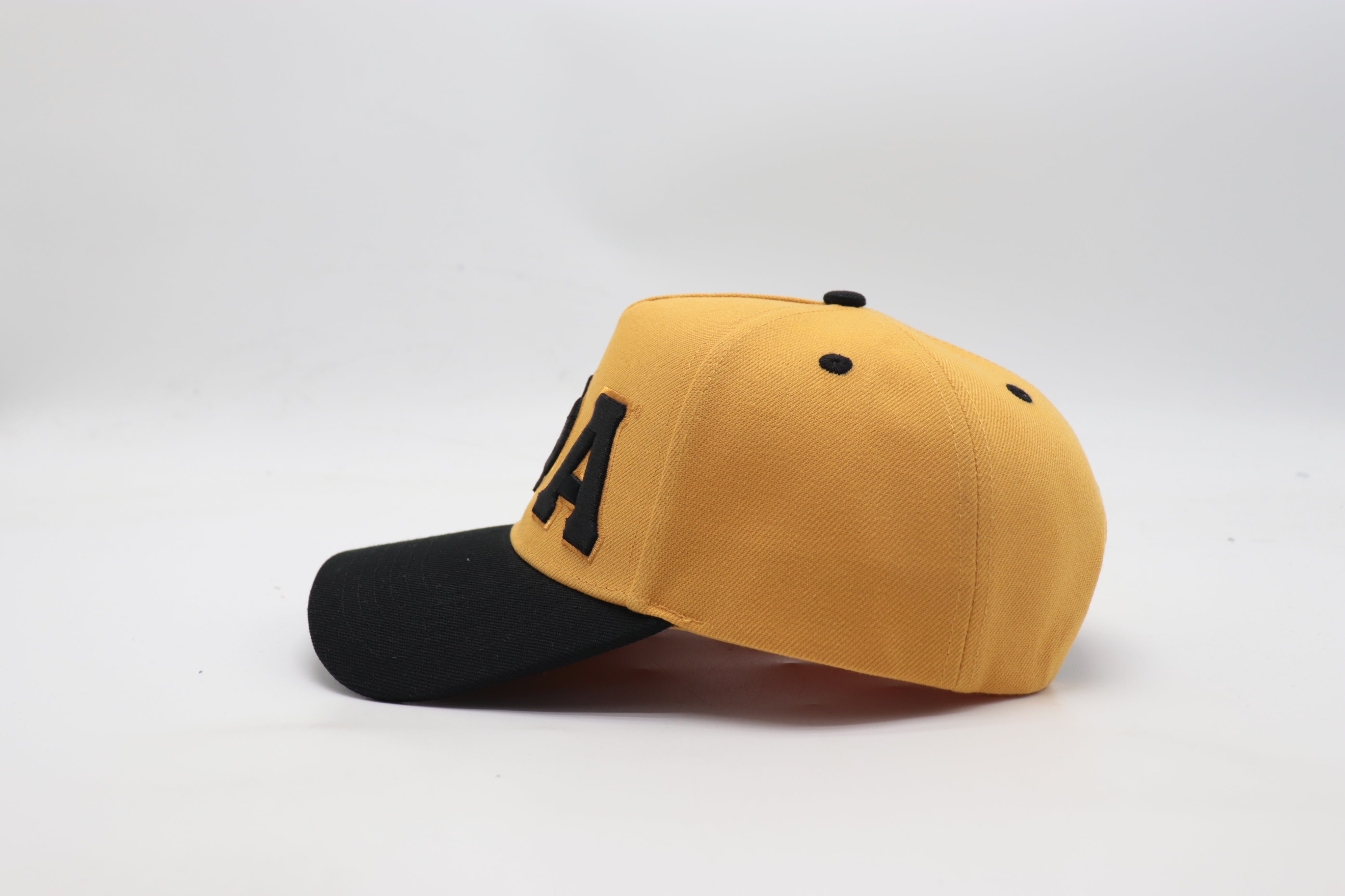 Alpha Snapback Hat