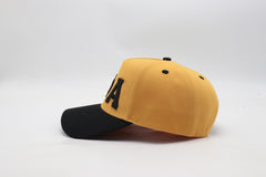 Alpha Snapback Hat