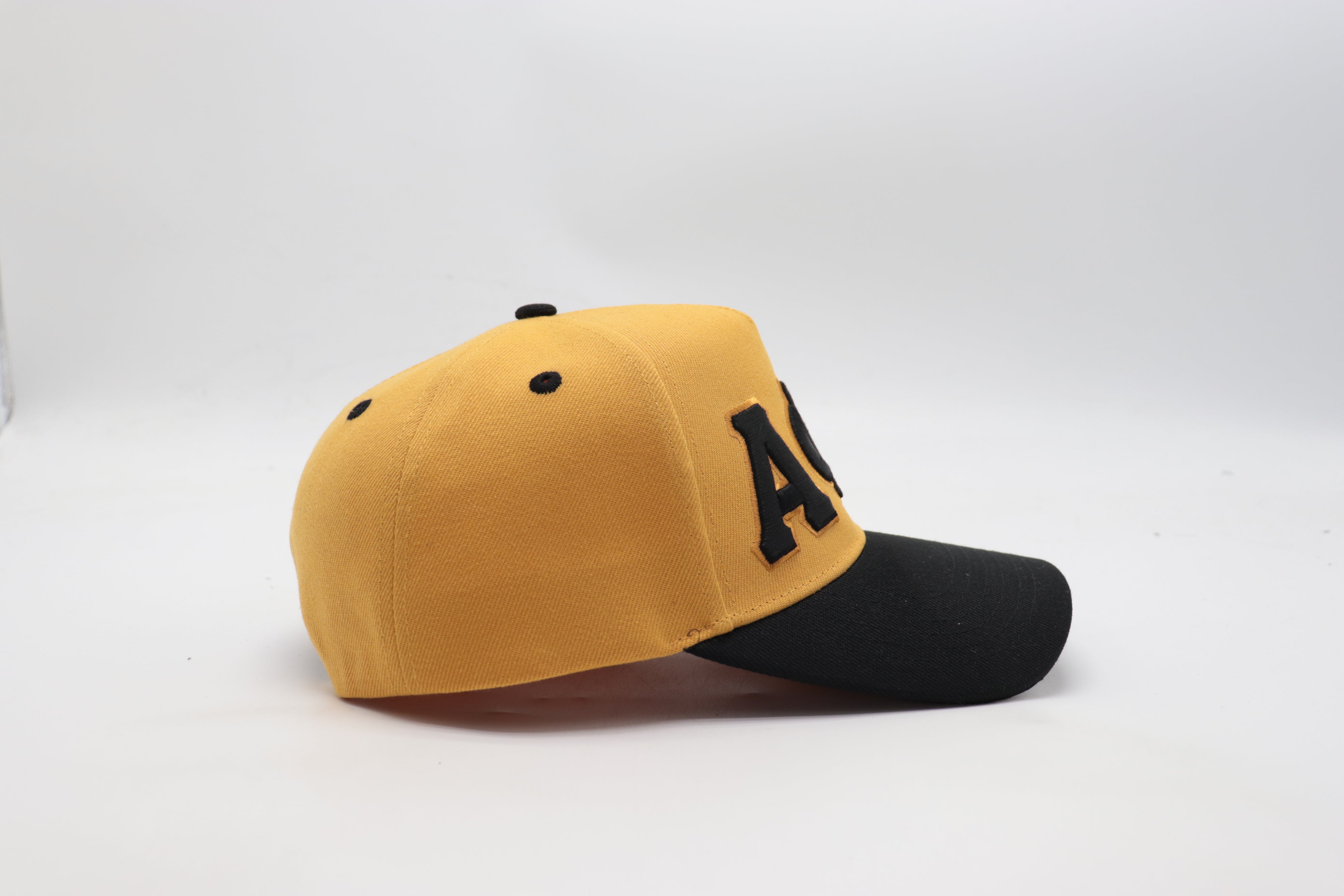Alpha Snapback Hat