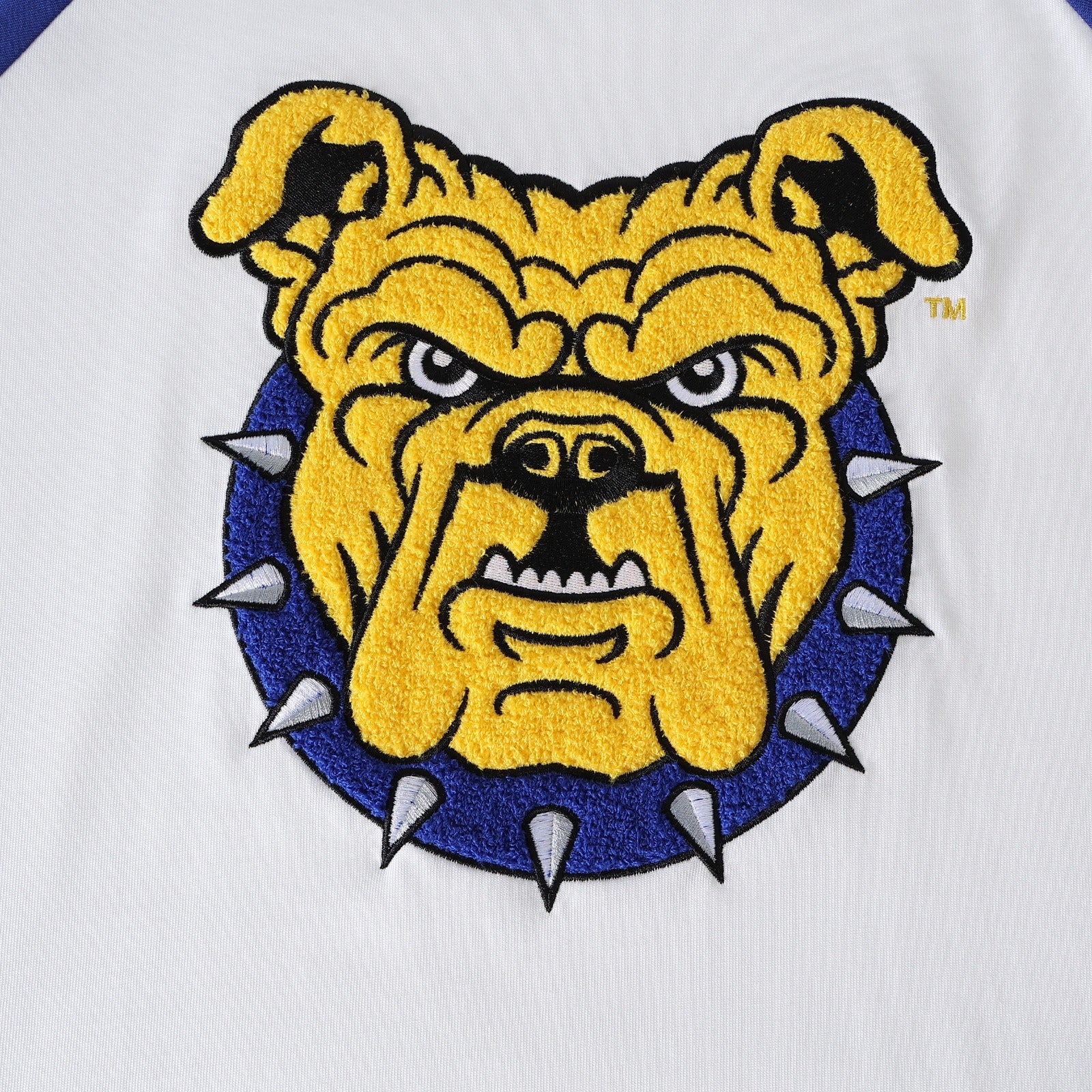 North Carolina A&T Premium Raglan Shirt