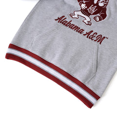 Alabama A&M Grey Chenille Hoodie