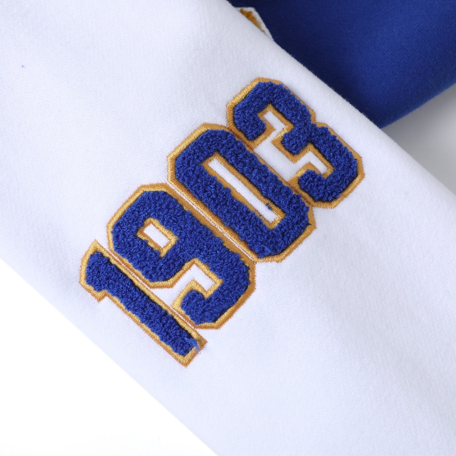 Albany State Blue Fleece Jacket