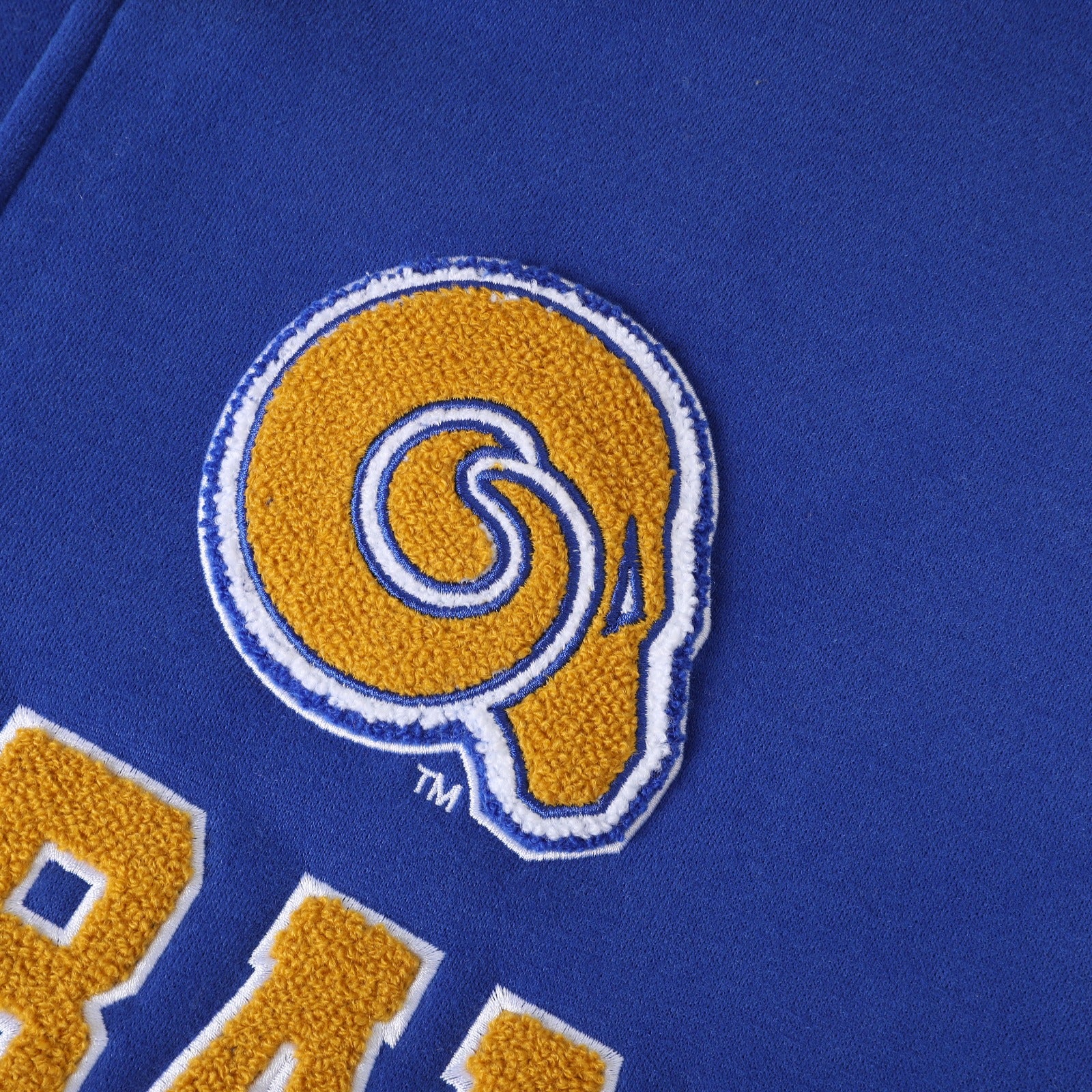 Albany State Blue Fleece Jacket