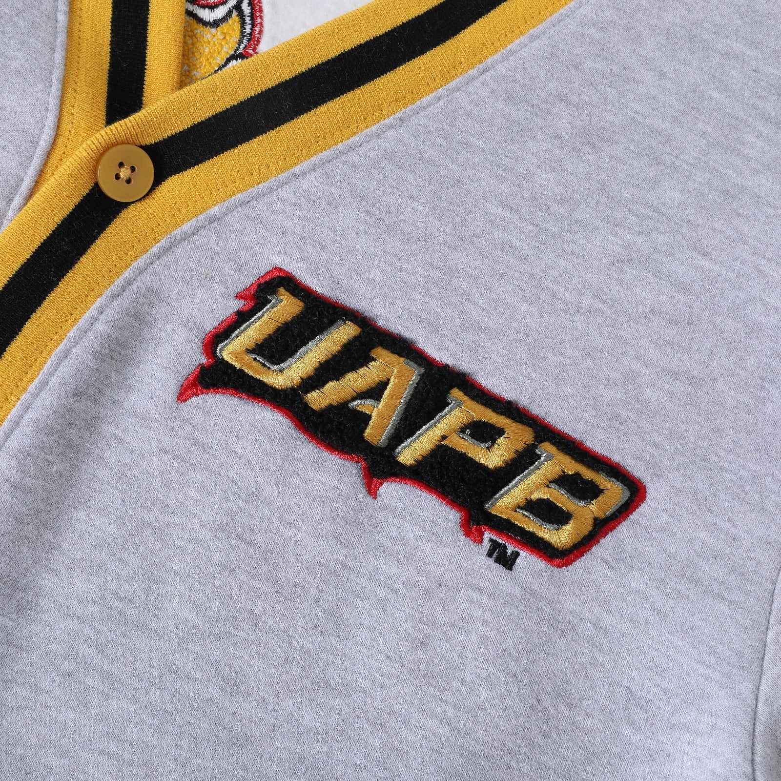 University of Arkansas Pine Bluff Heather Grey Fleece Cardigan