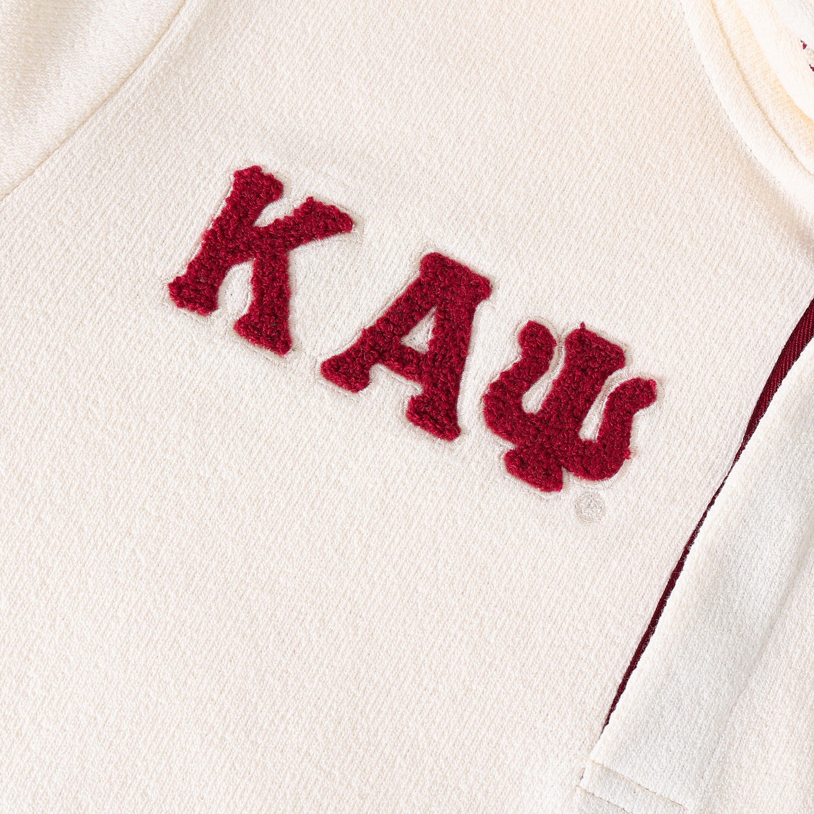 Kappa Alpha Psi Neutral Qtr Button-Up Hoodie