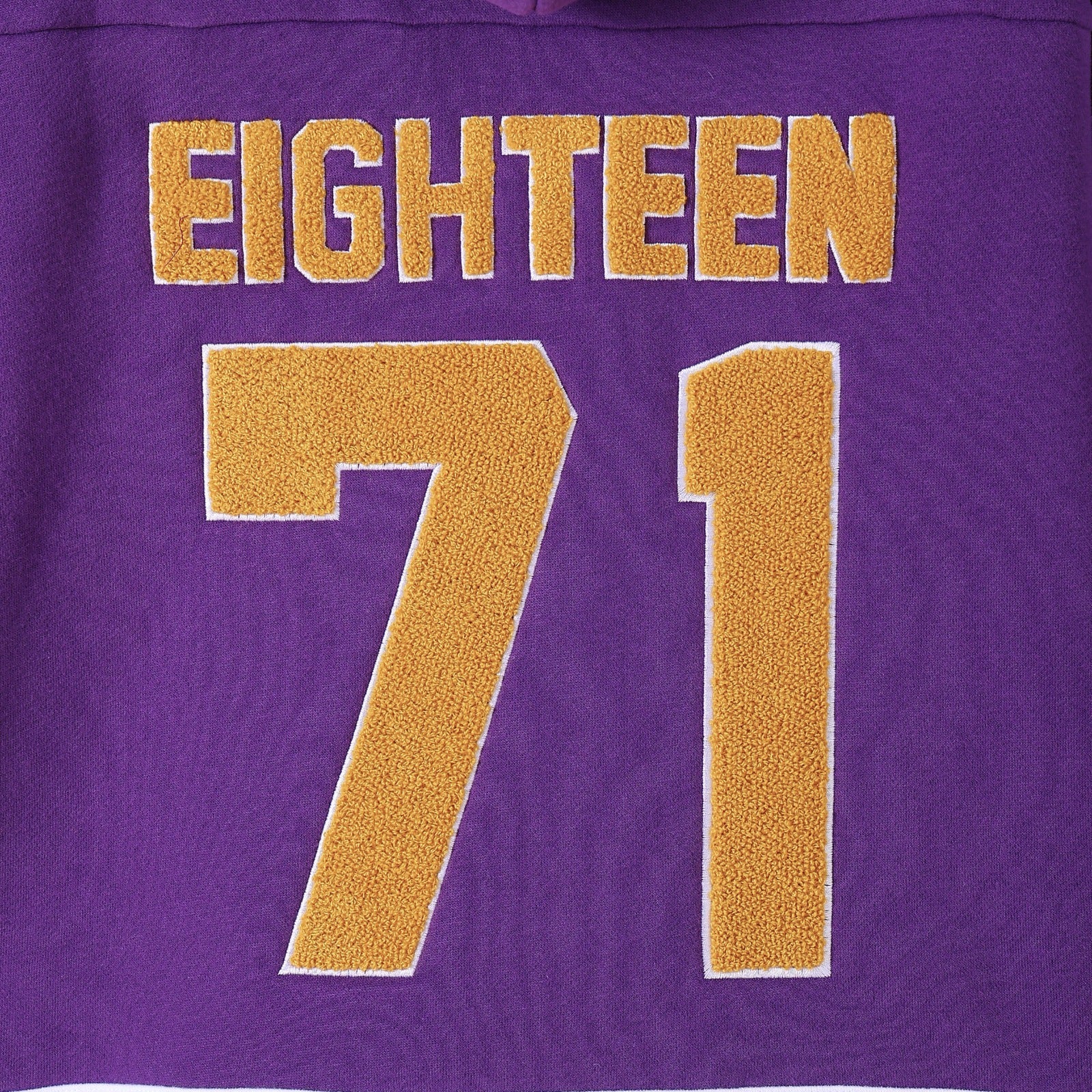 Alcorn State Purple Hockey Hoodie