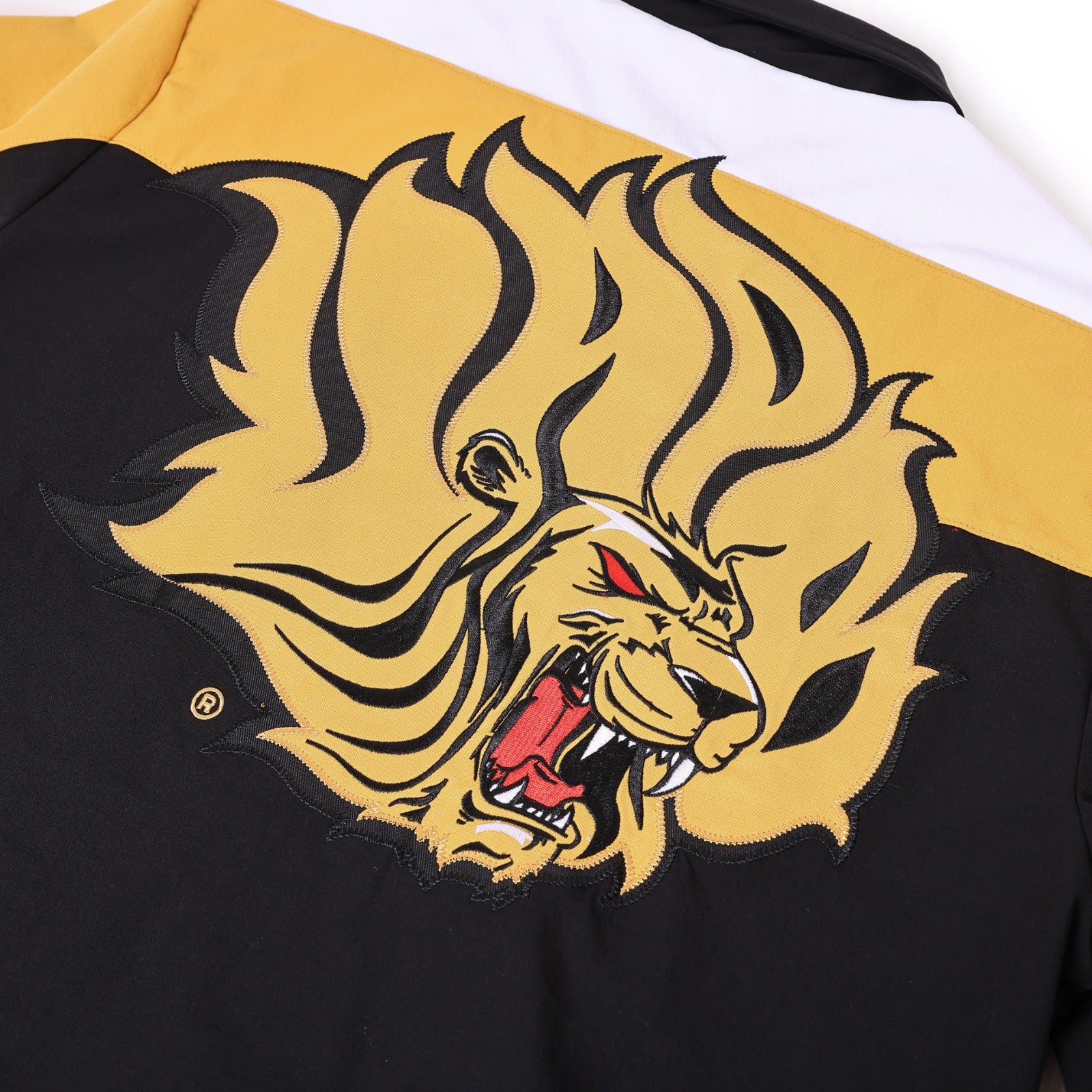 University of Arkansas Pine Bluff Black Full Zip Windbreaker Tech
