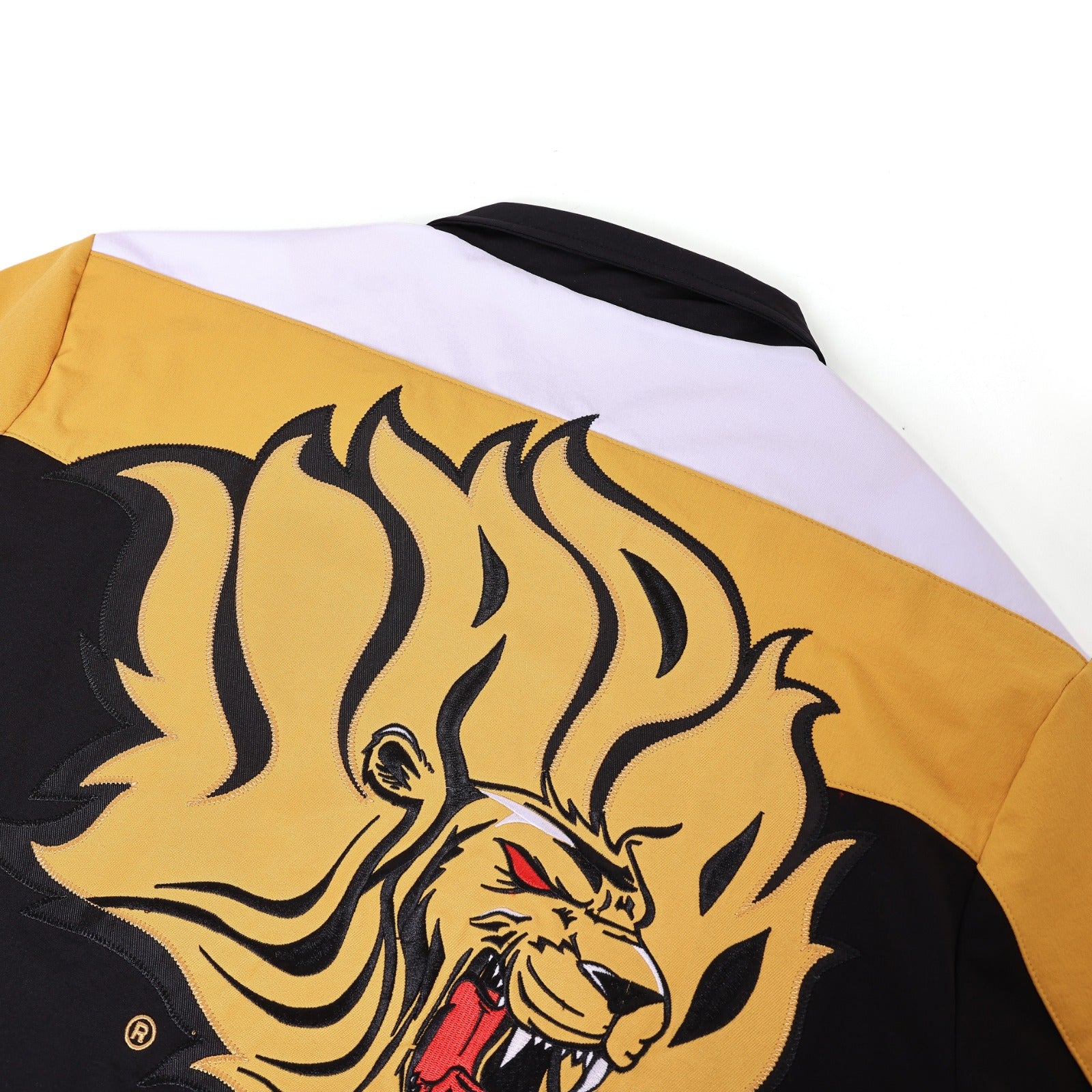 University of Arkansas Pine Bluff Black Full Zip Windbreaker Tech