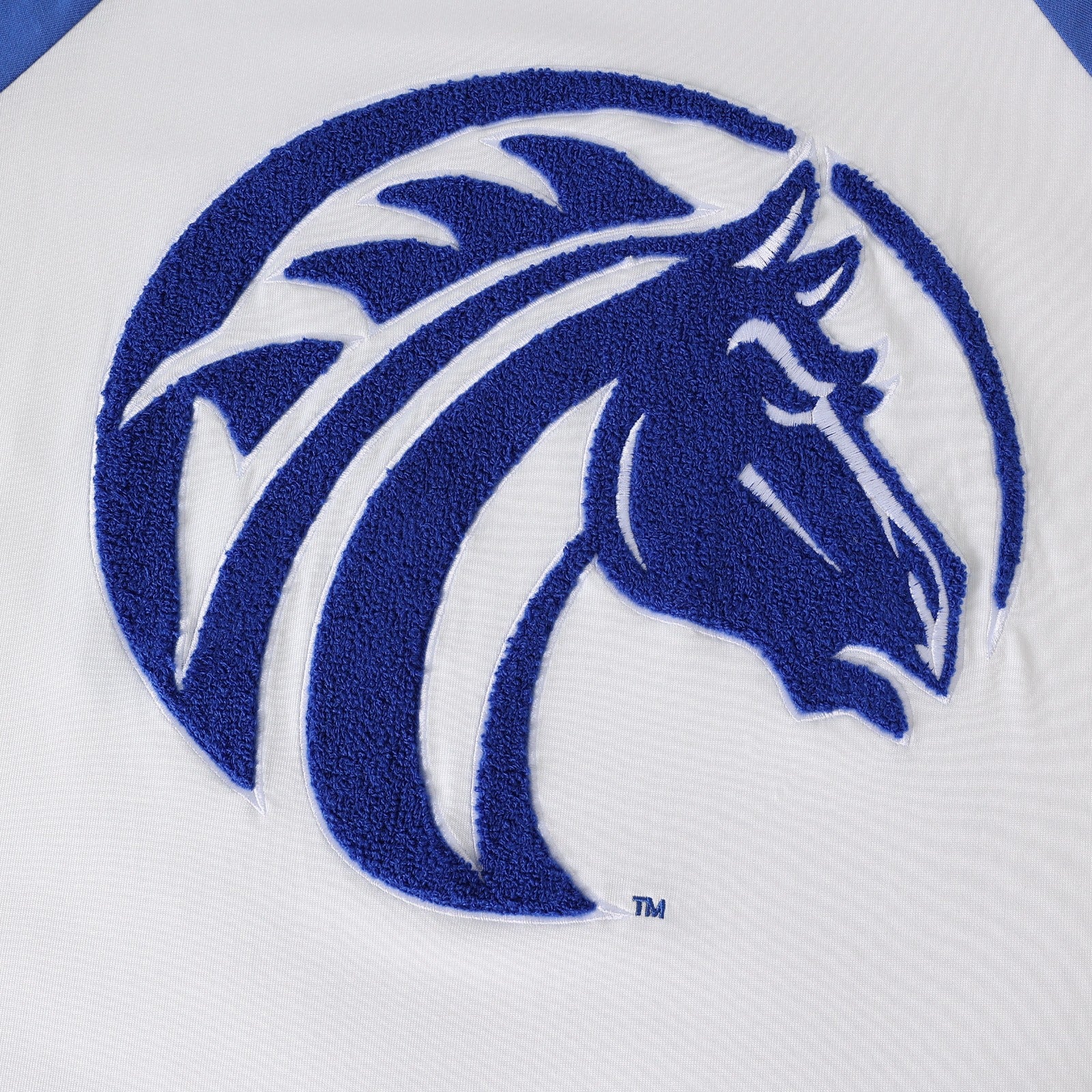 Fayetteville State White Premium Chenille Raglan Shirt