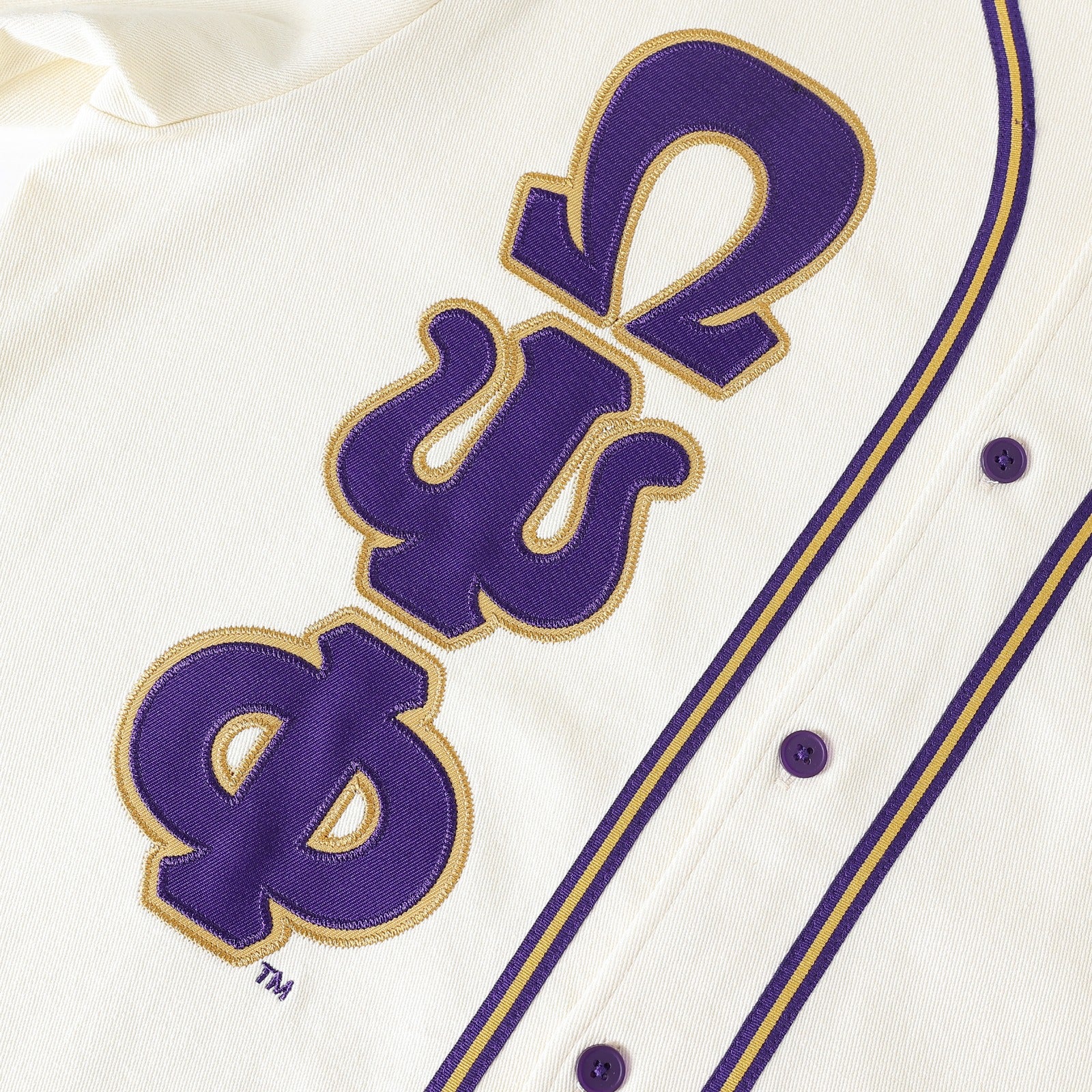 Omega Neutral Button-Up Baseball Jersey