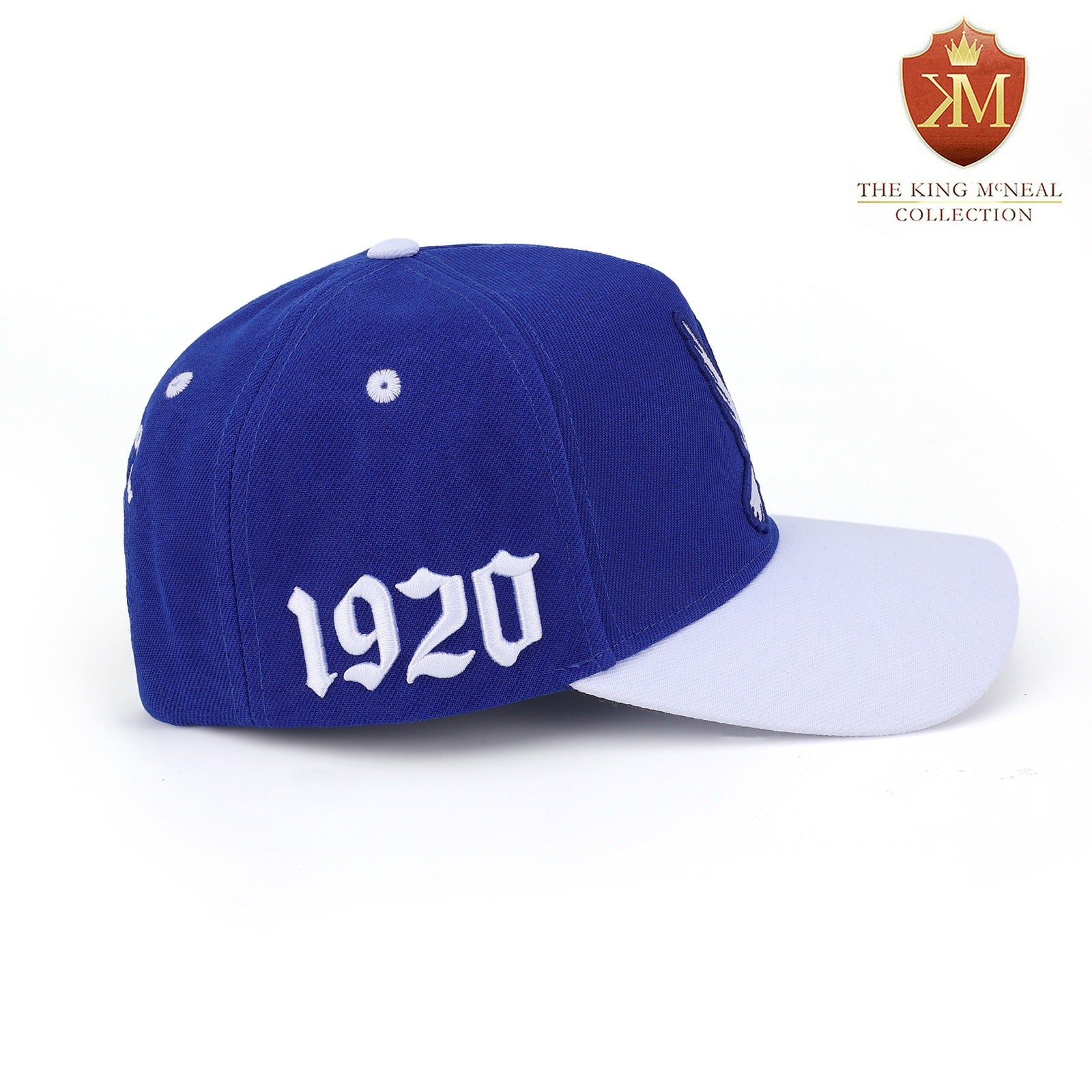 Zeta Dove Snapback Hat