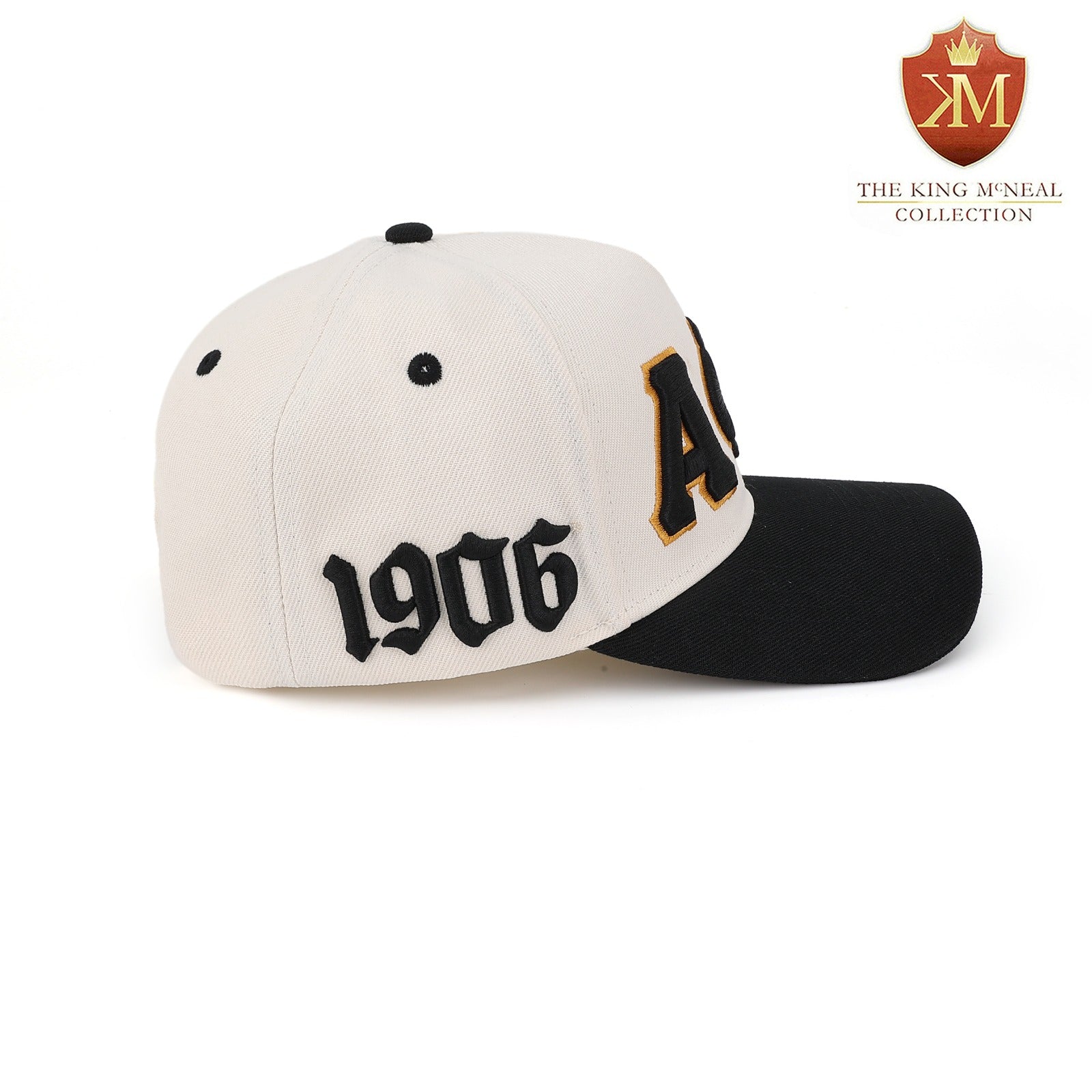 Alpha Neutral/Black Snapback Hat