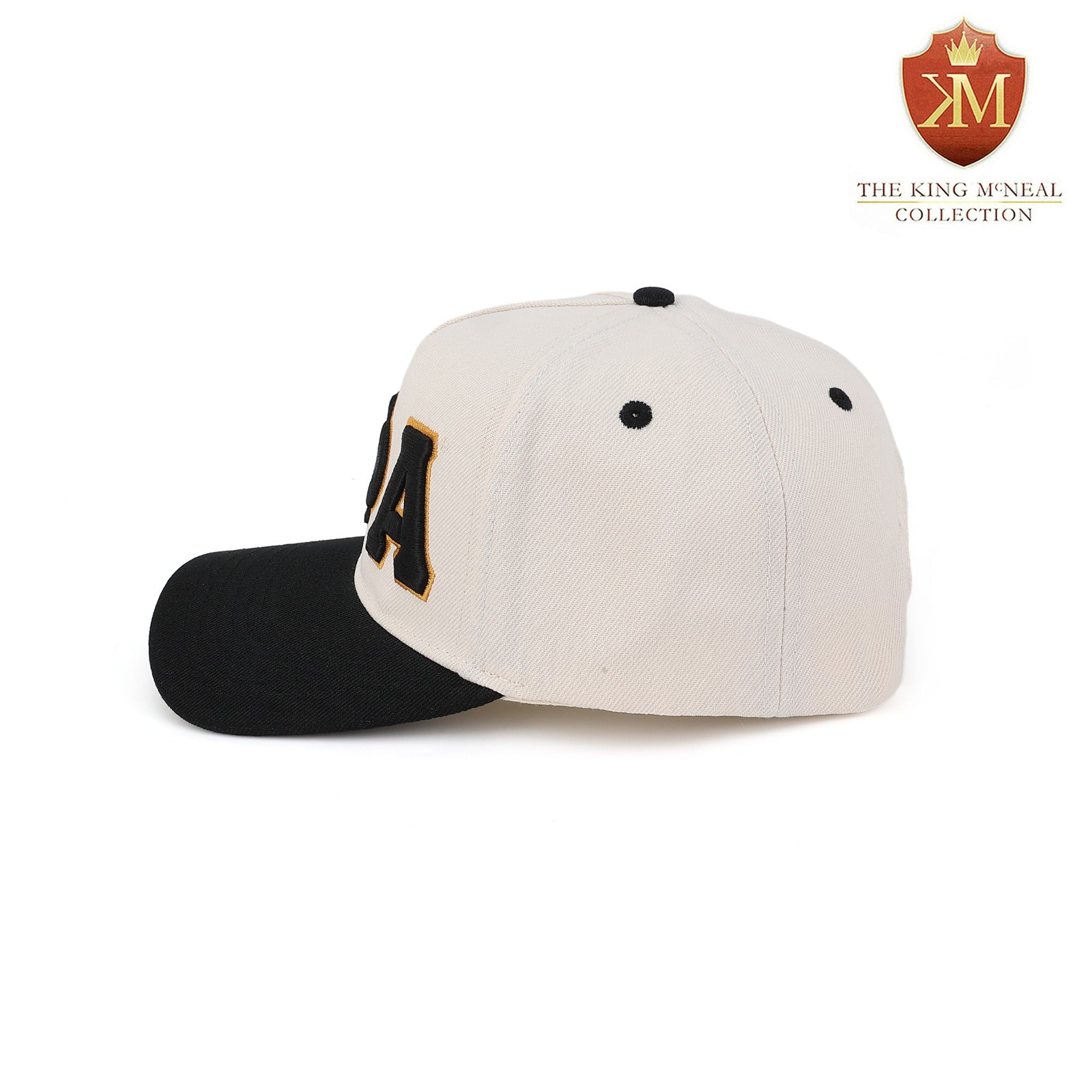 Alpha Neutral/Black Snapback Hat