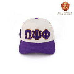Omega Neutral Snapback Hat