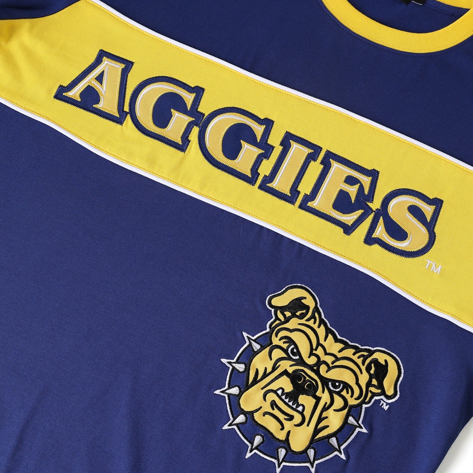 North Carolina A&T Premium Jersey Shirt (Unisex)