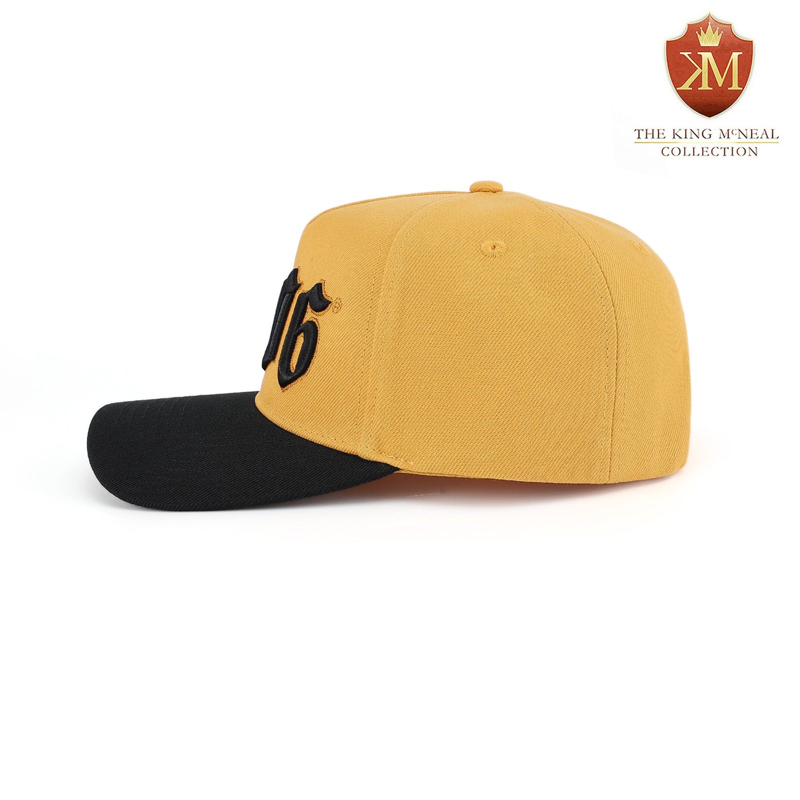 Alpha 1906 Snapback Hat