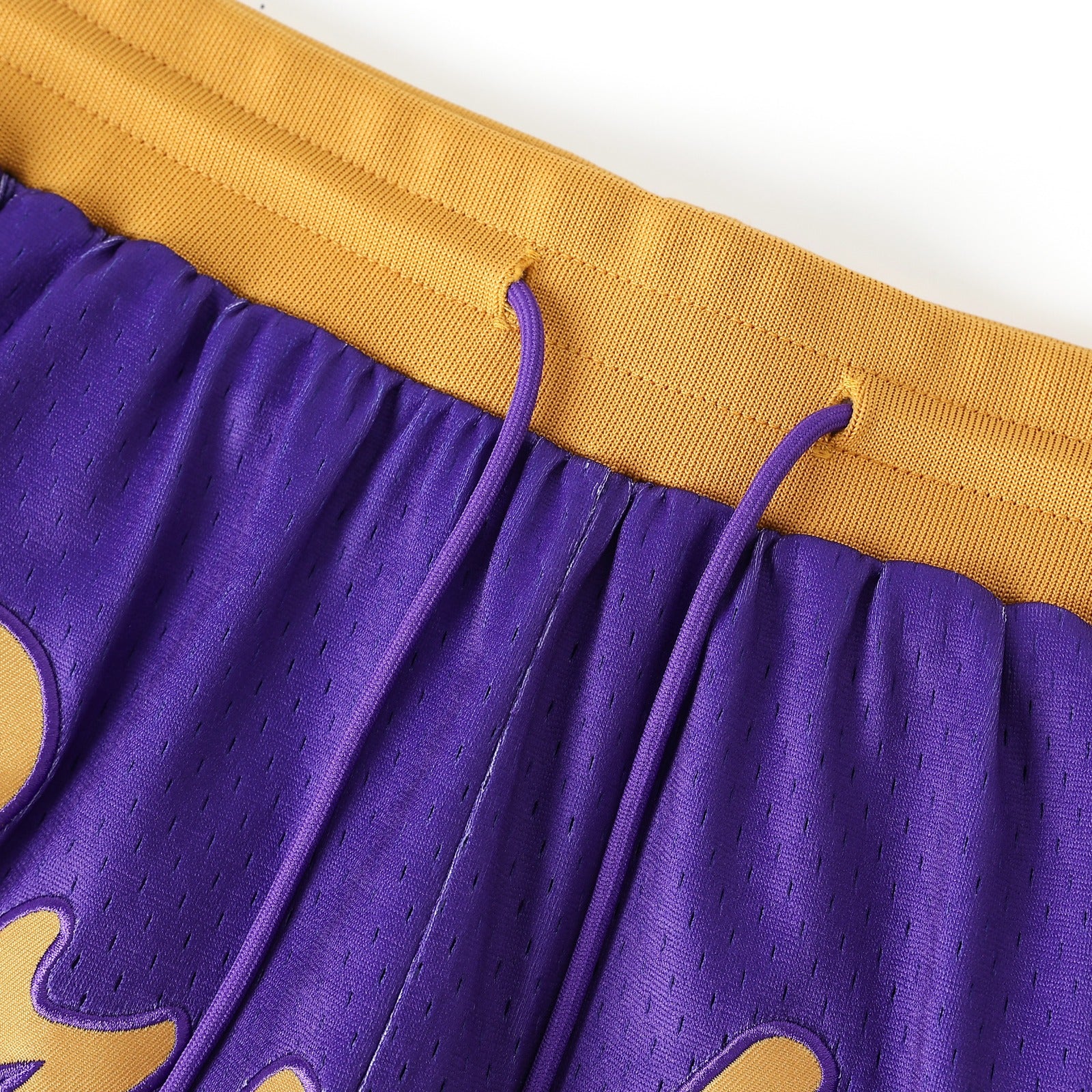 Omega Purple Heavy Mesh Basketball Shorts