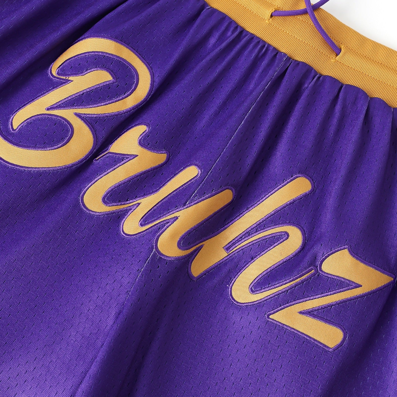 Omega Purple Heavy Mesh Basketball Shorts