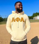 Alpha Neutral Chenille Hoodie