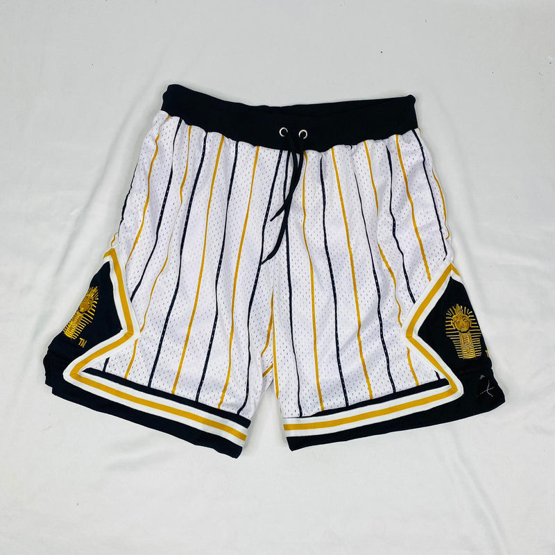 Alpha Pinstripe Heavy Mesh Basketball Shorts