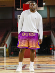 Omega Faded Pinstripe Heavy Mesh Basketball Shorts