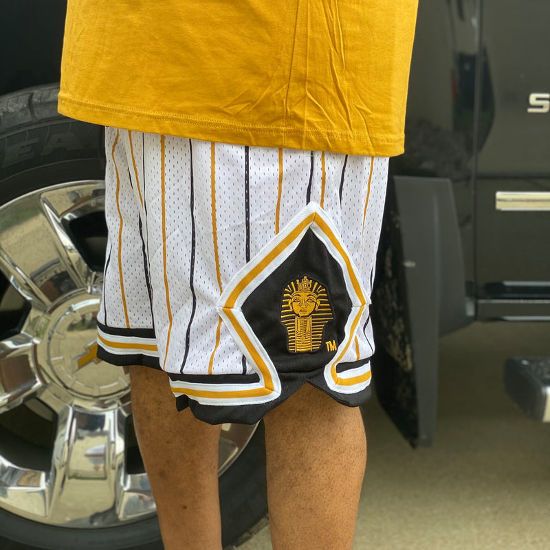 Alpha Pinstripe Heavy Mesh Basketball Shorts