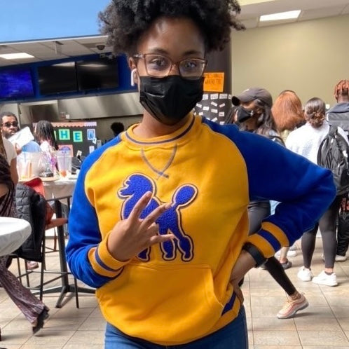 SGRho Chenille Poodle Pocket Crewneck