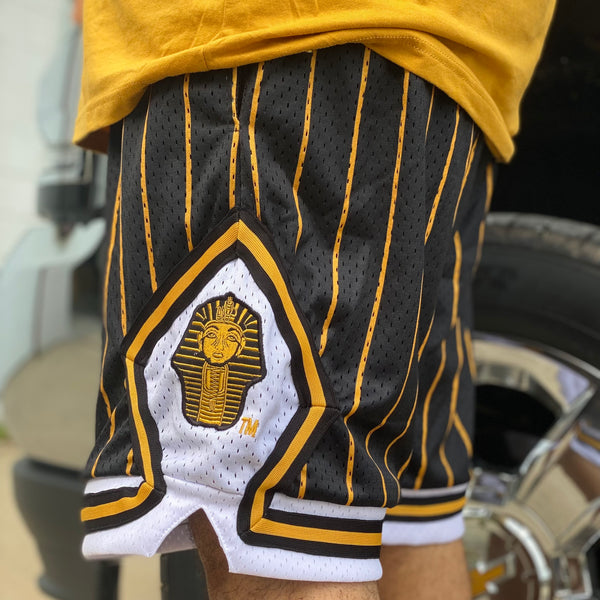 Alpha Pinstripe Heavy Mesh Basketball Shorts