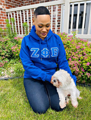 Zeta Premium Hoodie